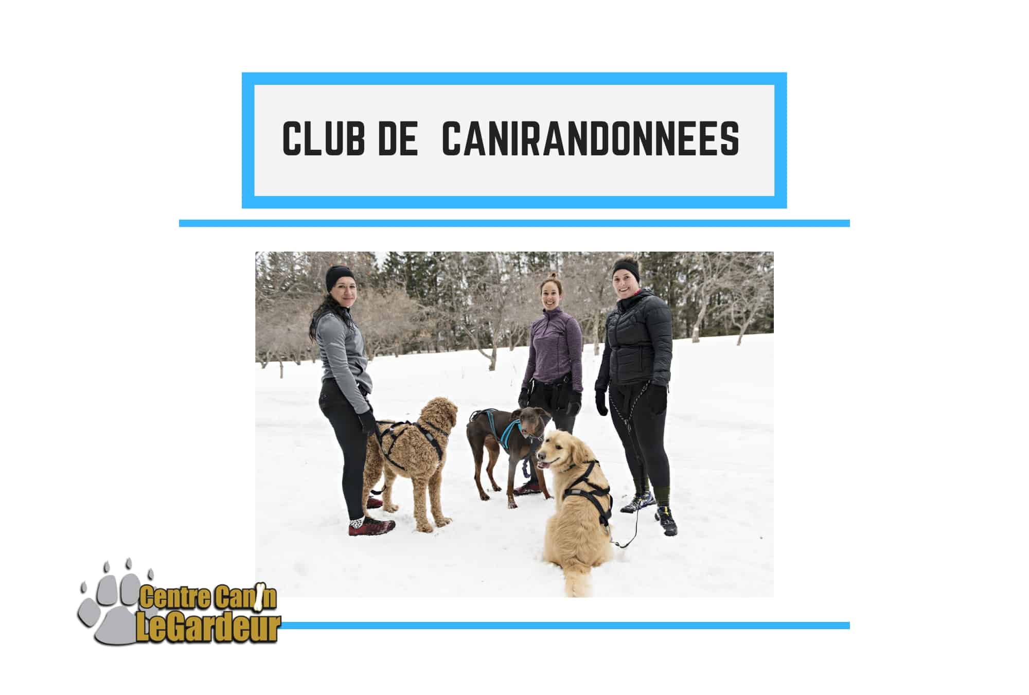 Club de marche en groupe pour chiens