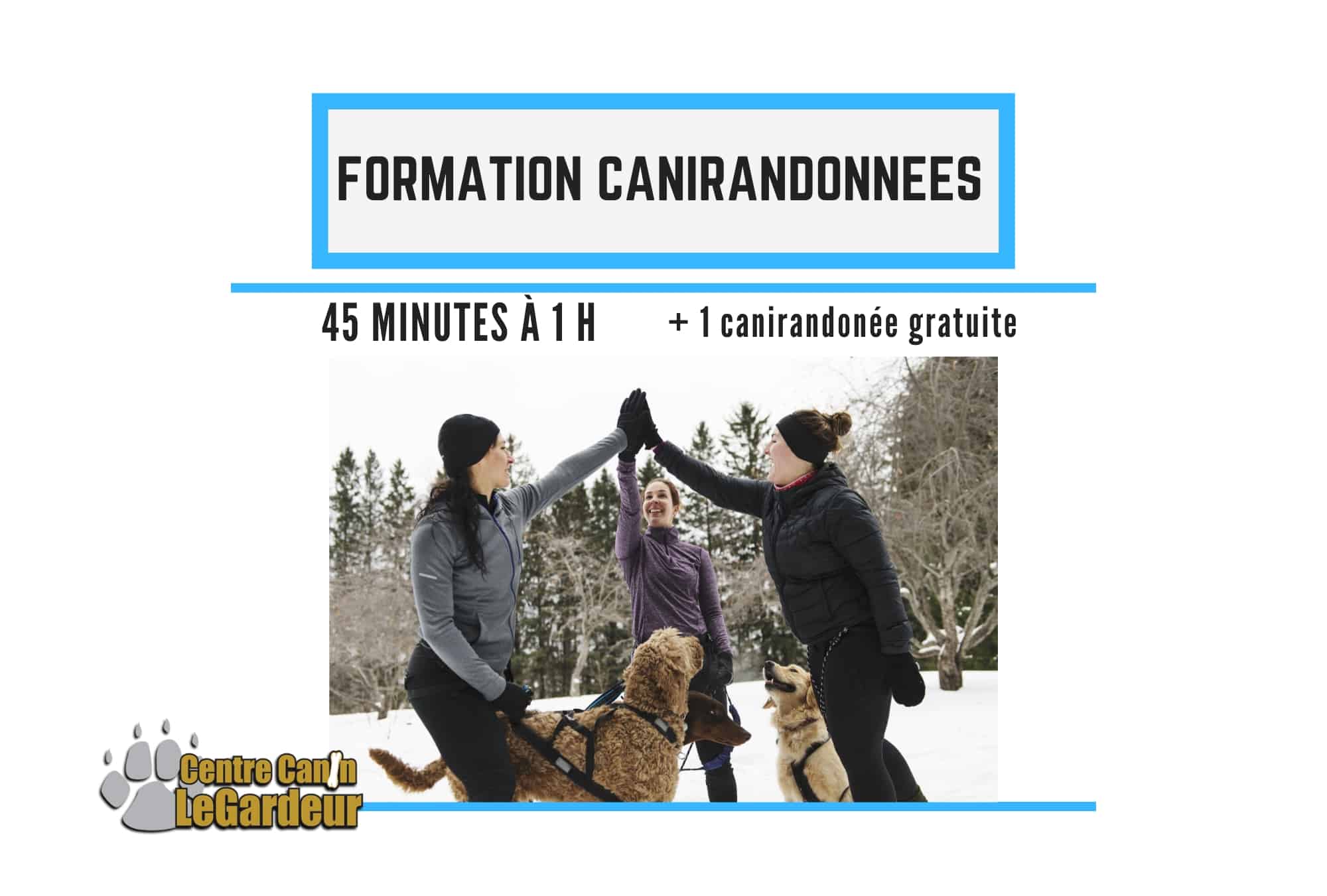 canimarche ou canicross pour chien