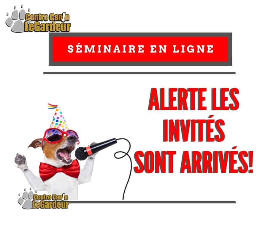 mon chien est excité quand la visite arrive