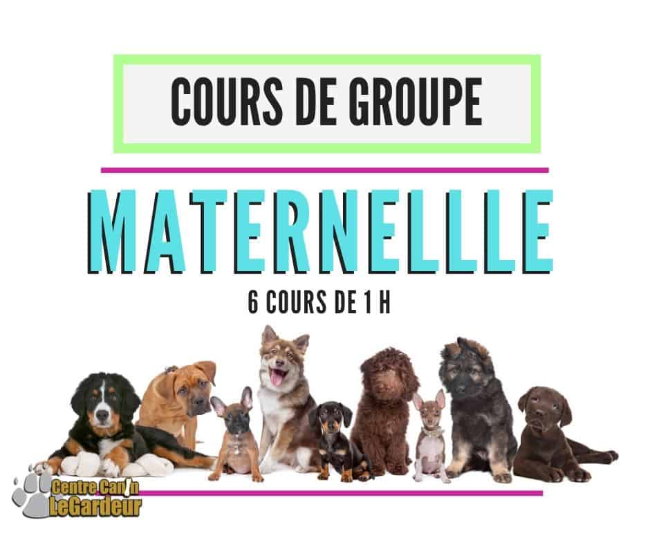 Cours de groupe Centre Canin Legardeur Cours de groupe Centre Canin Legardeur