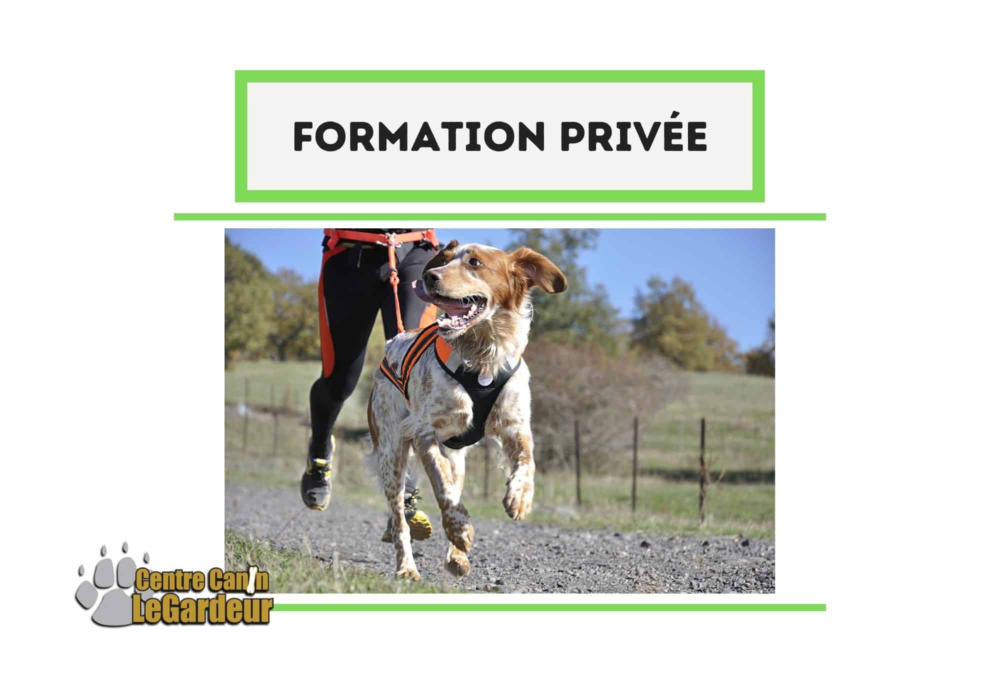 Formation canicross et sports canins attelés